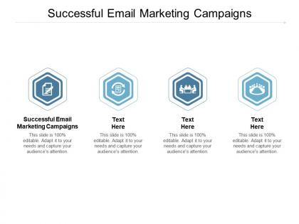 Successful email marketing campaigns ppt powerpoint presentation summary designs cpb