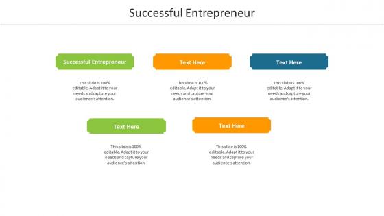 Successful entrepreneur ppt powerpoint presentation professional layout cpb