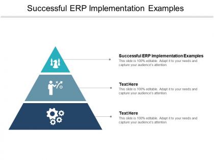 Successful erp implementation examples ppt powerpoint presentation model master slide cpb