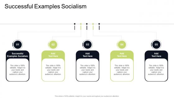 Successful Examples Socialism In Powerpoint And Google Slides Cpb