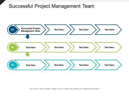 Successful project management team ppt powerpoint presentation professional cpb