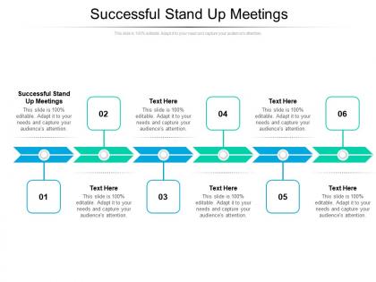 Successful stand up meetings ppt powerpoint presentation file layout ideas cpb