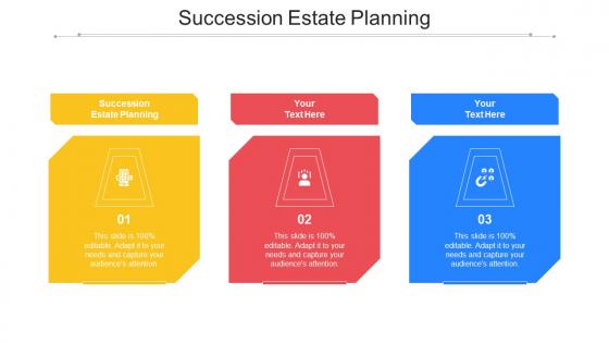 Succession Estate Planning Ppt Powerpoint Presentation Summary Visuals Cpb