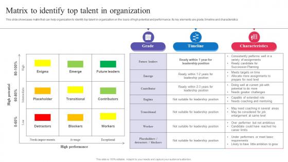 Succession Planning For Employee Matrix To Identify Top Talent In Organization