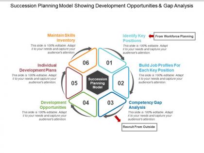 Succession planning model showing development opportunities and gap analysis