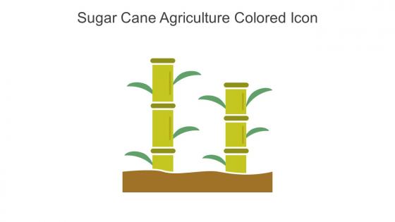 Sugar Cane Agriculture Colored Icon In Powerpoint Pptx Png And Editable Eps Format