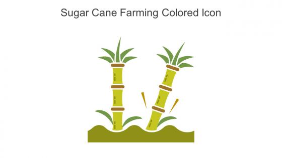 Sugar Cane Farming Colored Icon In Powerpoint Pptx Png And Editable Eps Format