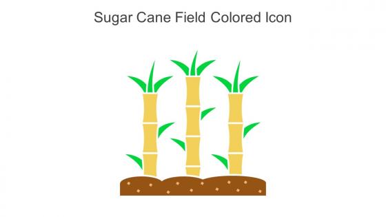 Sugar Cane Field Colored Icon In Powerpoint Pptx Png And Editable Eps Format