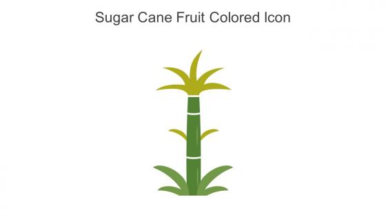 Sugar Cane Fruit Colored Icon In Powerpoint Pptx Png And Editable Eps Format