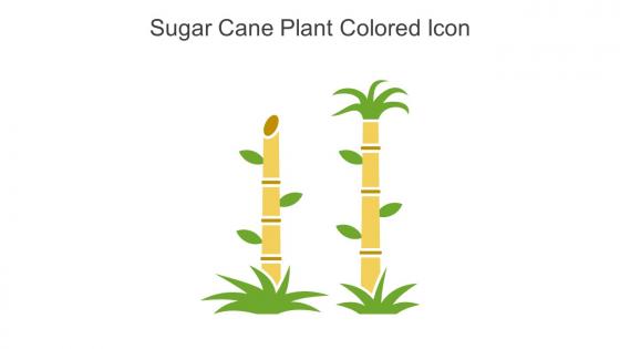 Sugar Cane Plant Colored Icon In Powerpoint Pptx Png And Editable Eps Format