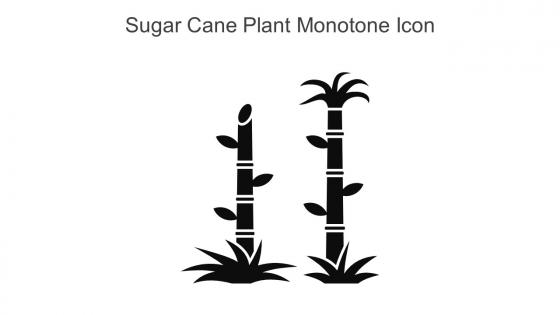 Sugar Cane Plant Monotone Icon In Powerpoint Pptx Png And Editable Eps Format