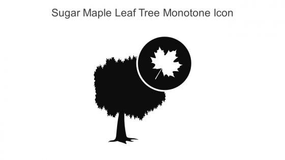 Sugar Maple Leaf Tree Monotone Icon In Powerpoint Pptx Png And Editable Eps Format