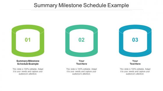 Summary milestone schedule example ppt powerpoint presentation icon example topics cpb
