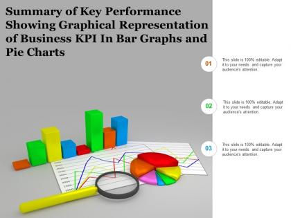 Summary of key performance showing graphical representation of business kpi in bar graphs and pie charts