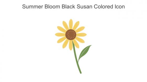 Summer Bloom Black Susan Colored Icon In Powerpoint Pptx Png And Editable Eps Format