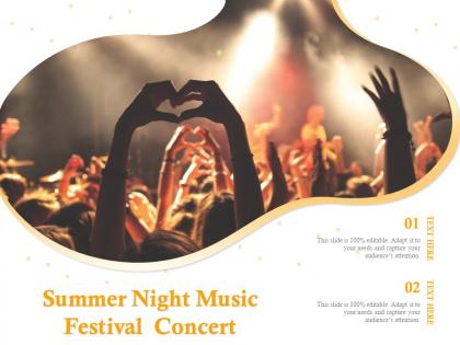 Summer night music festival concert