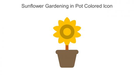 Sunflower Gardening In Pot Colored Icon In Powerpoint Pptx Png And Editable Eps Format