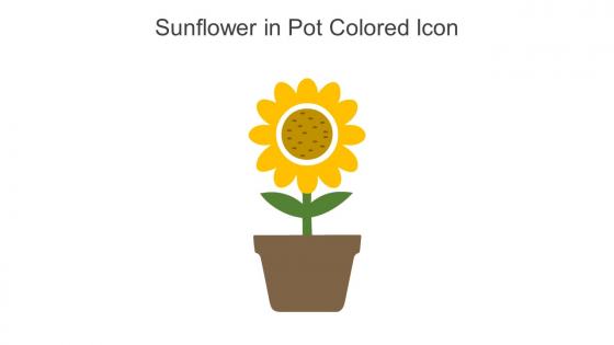 Sunflower In Pot Colored Icon In Powerpoint Pptx Png And Editable Eps Format
