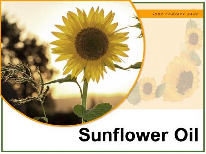 Sunflower Oil Process Healthy Comparative Extraction Procedure Industrial