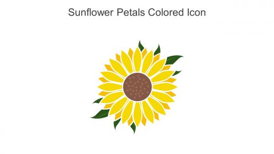 Sunflower Petals Colored Icon In Powerpoint Pptx Png And Editable Eps Format