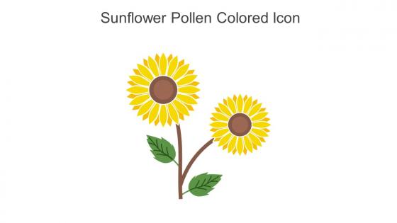 Sunflower Pollen Colored Icon In Powerpoint Pptx Png And Editable Eps Format