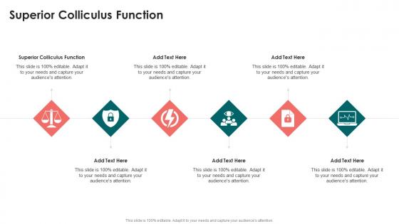 Superior Colliculus Function In Powerpoint And Google Slides Cpb