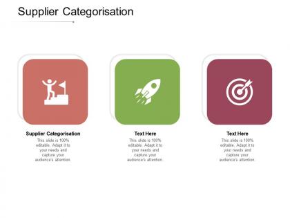 Supplier categorisation ppt powerpoint presentation infographic template tips cpb