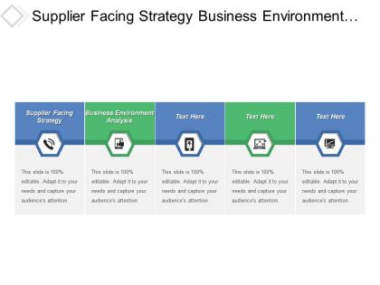 Supplier facing strategy business environment analysis draft strategy plan