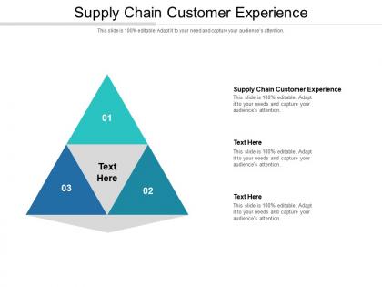 Supply chain customer experience ppt powerpoint presentation gallery gridlines cpb