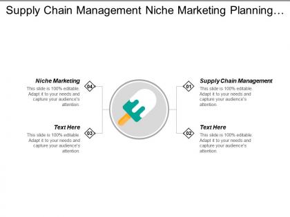 Supply chain management niche marketing planning competitive analysis cpb