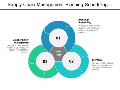Supply chain management planning scheduling brand management product positioning cpb
