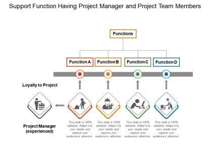 Support function having project manager and project team members