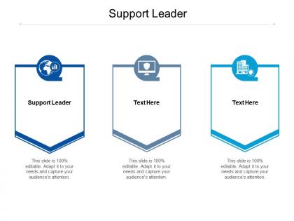 Support leader ppt powerpoint presentation show example cpb