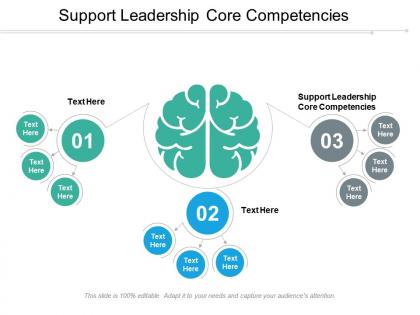 Support leadership core competencies ppt powerpoint presentation infographic template background cpb