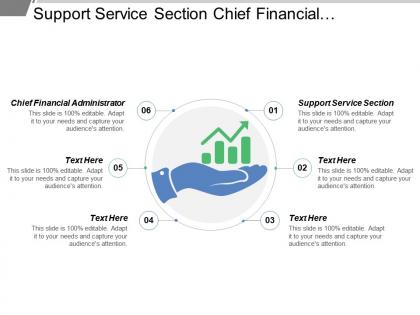 Support service section chief financial administrator life health section