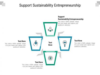 Support sustainability entrepreneurship ppt powerpoint presentation layouts example cpb