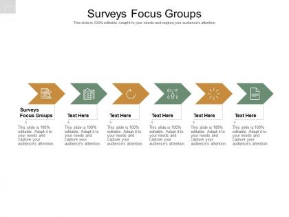 Surveys focus groups ppt powerpoint presentation visual aids layouts cpb