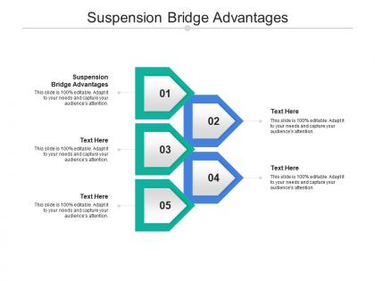 Suspension bridge advantages ppt powerpoint presentation layouts design ideas cpb