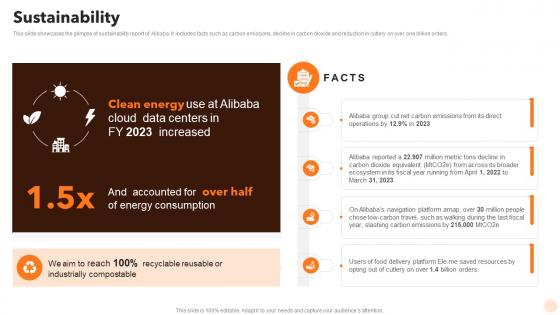 Sustainability Alibaba Company Profile Ppt Summary CP SS