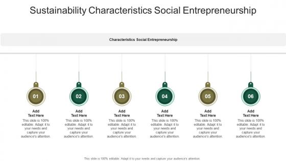 Sustainability Characteristics Social Entrepreneurship In Powerpoint And Google Slides Cpb