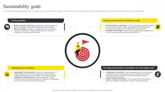 Sustainability Goals Ernst And Young Company Profile CP SS