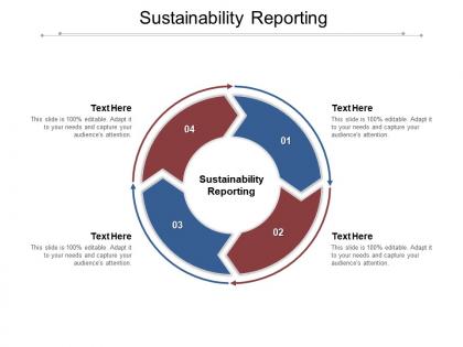 Sustainability reporting ppt powerpoint presentation layouts icon cpb