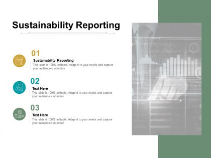 Sustainability reporting ppt powerpoint presentation professional sample cpb