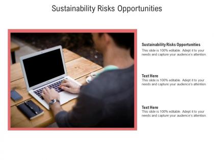 Sustainability risks opportunities ppt powerpoint presentation inspiration topics cpb