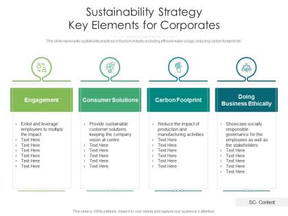 Sustainability strategy key elements for corporates