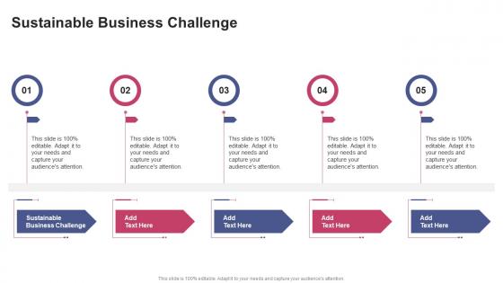 Sustainable Business Challenge In Powerpoint And Google Slides Cpb