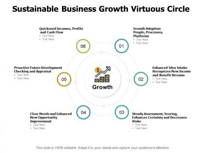 Sustainable business growth virtuous circle