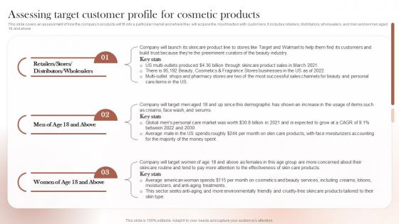 Sustainable Cosmetic Business Plan Assessing Target Customer Profile For Cosmetic Products BP SS