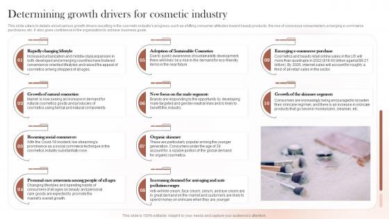Sustainable Cosmetic Business Plan Determining Growth Drivers For Cosmetic Industry BP SS