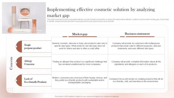 Sustainable Cosmetic Business Plan Implementing Effective Cosmetic Solution By Analyzing BP SS